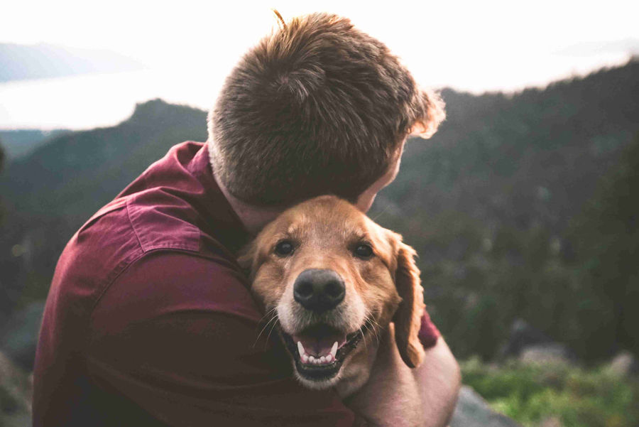 Benefícios a saúde de se ter um animal de estimação